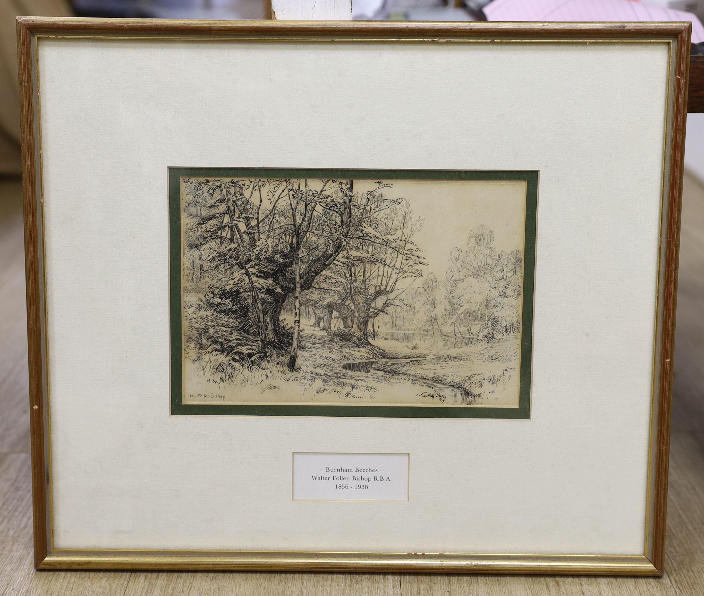 Walter Follen Bishop (1856-1936), pen and ink, Burnham Beeches, signed, 15 x 22cm